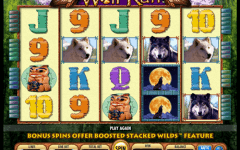 Wolf Run
