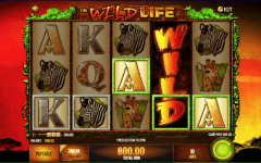 The Wild Life