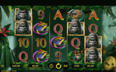 Gorilla Kingdom